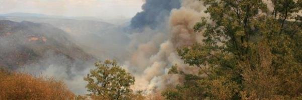 Yosemite: Fortschritte im Kampf gegen das Rim Fire