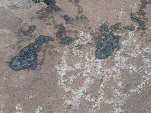 Beschädigte Petroglyphen im Grapevine Canyon. Foto: NPS