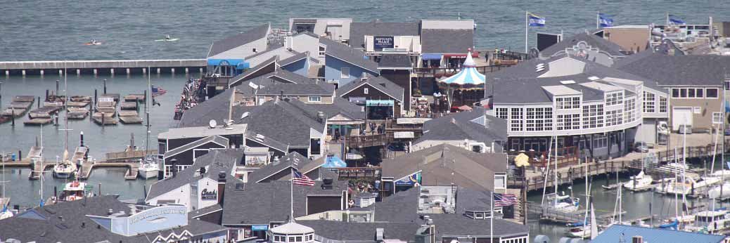 San Francisco: 1.500 Seelöwen belagern Pier 39