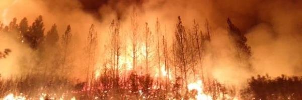 Yosemite: Tioga Pass wird wegen Waldbrand gesperrt Yosemite: Tioga Pass wird wegen Waldbrand gesperrt