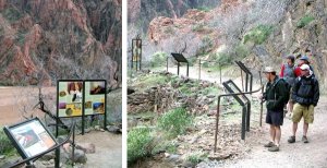 Die neuen Informationstafeln bei der Phantom Ranch. Foto: NPS