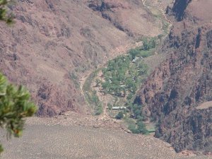 Blick vom South Rim auf die Phantom Ranch. Foto: Stefan Kremer