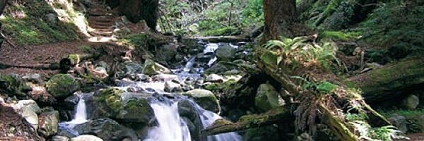 Big Sur: Limekiln State Park nach 2 Jahren wieder offen