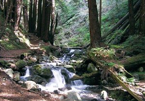 Limekiln Creek. Foto: parks.ca.gov