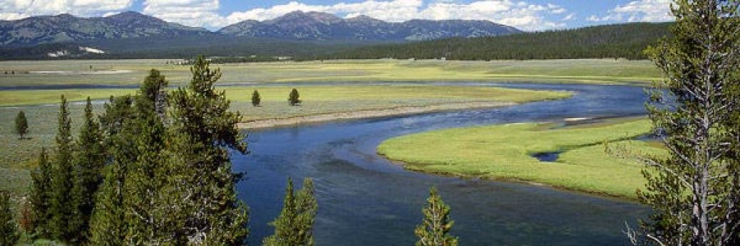 Yellowstone: Ölleck verseucht Yellowstone River