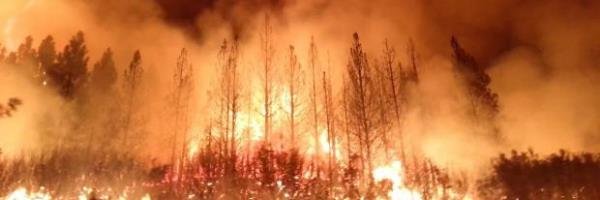 Yosemite: Tioga Pass wird wegen Waldbrand gesperrt