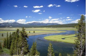 Yellowstone River im Hayden Valley. Foto: wikipedia Yellowstone River im Hayden Valley. Foto: wikipedia