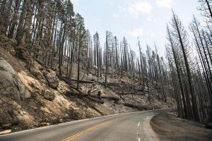 Highway 41 nördlich von Chinquapin am 10.08.2018. Foto: Stuary Palley / USFS Highway 41 nördlich von Chinquapin am 10.08.2018. Foto: Stuary Palley / USFS