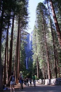Upper und Lower Yosemite Falls im Sommer. Foto: Stefan Kremer