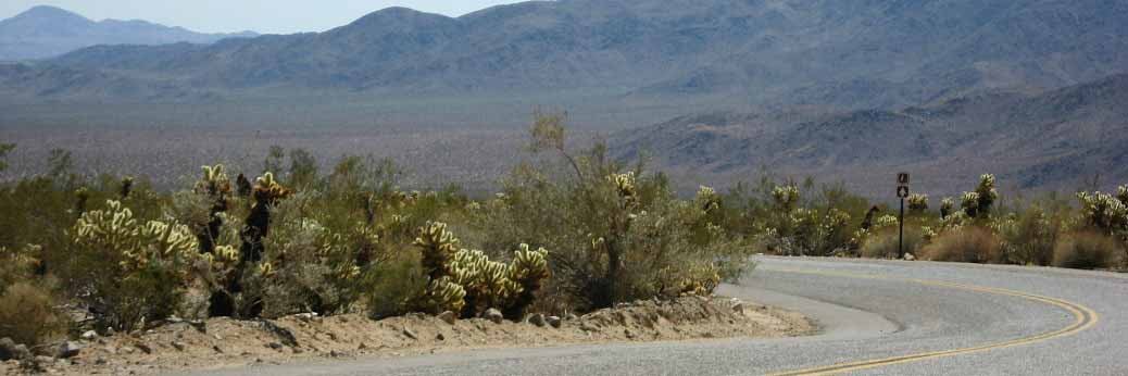 Joshua Tree: Pinto Basin Road wieder befahrbar Joshua Tree: Pinto Basin Road wieder befahrbar