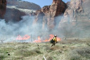 Ein Prescribed Fire im Zion (Weeping Rock Fire von 2002). Foto: NPS Ein Prescribed Fire im Zion (Weeping Rock Fire von 2002). Foto: NPS