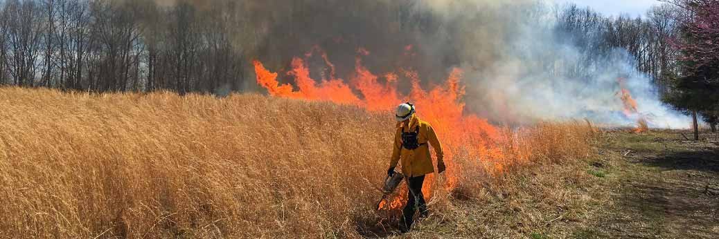Zion: Kontrollierter Waldbrand ab 16.04. Zion: Kontrollierter Waldbrand ab 16.04.