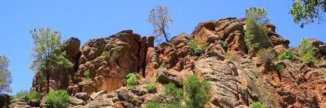 Pinnacles: Bald National Park?