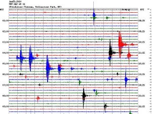 Auszug aus dem Seismogramm vom 25.01.2010. Quelle: U.S. Geological Survey