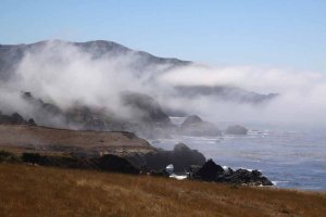 Garrapata State Park im Nebel. Foto: Stefan Kremer Garrapata State Park im Nebel. Foto: Stefan Kremer